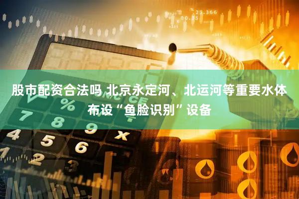 股市配资合法吗 北京永定河、北运河等重要水体布设“鱼脸识别”设备