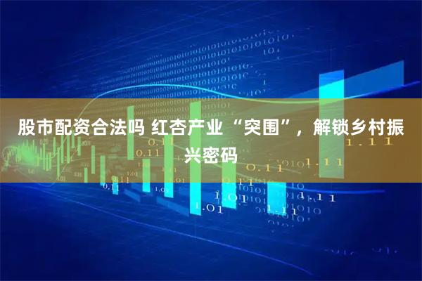 股市配资合法吗 红杏产业 “突围”，解锁乡村振兴密码